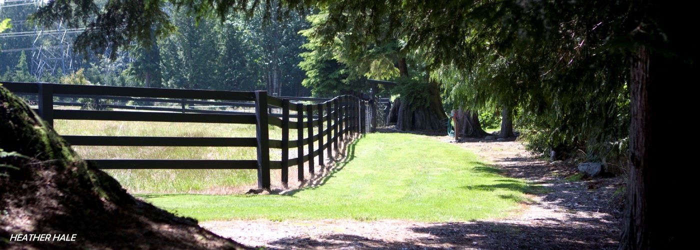 The Pastures at Cedarbrook Farms