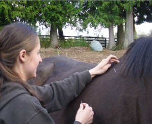Dr. Hannah doing Acupuncture on a Client