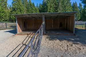 The run in sheds at Cedarbrook Farms