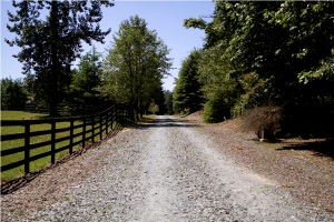Welcome to Cedarbrook Farms