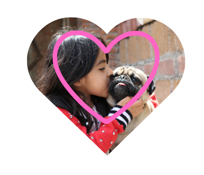 Giving comfort to a pet with care from Cedarbrook Veterinary Care in Snohomish, WA