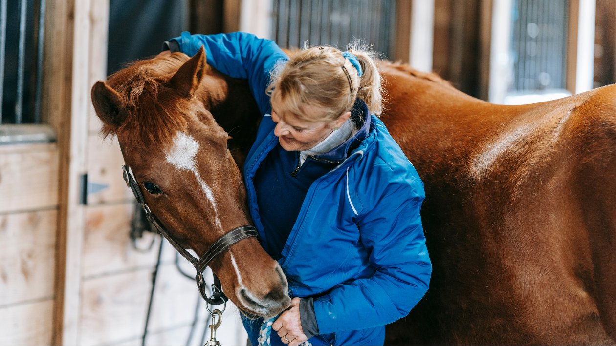Equine Respiratory Health: What You Need to Know