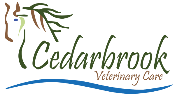 Cedarbrook Veterinary Care
